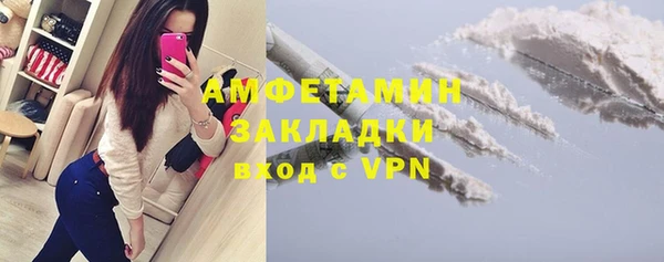 СК Алексин