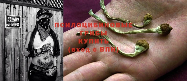а пвп мука Алзамай