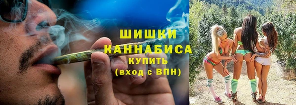 соль ск Пересвет